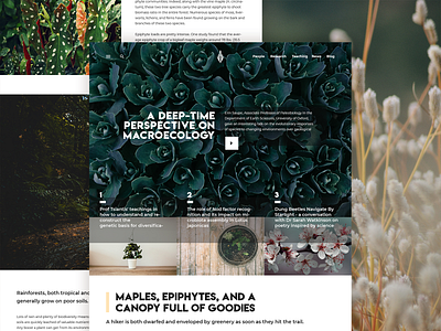 Plant Blog behance blogs clean design instagram landing page minimal photography typography ui website