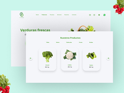 Vegetables shop ui ux uidesign vegetables webdesign