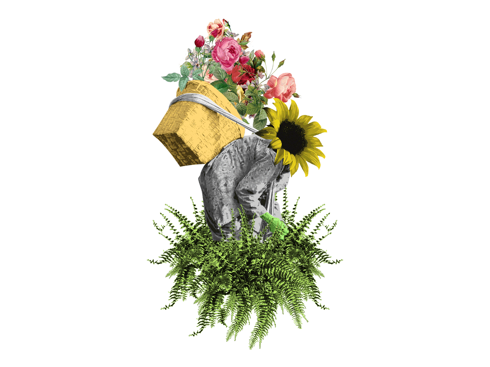 the farmer abstract abstract art adobe photoshop art collage collage art collage maker collageart digital digitalart gif gif animated giphy illustration sonflower