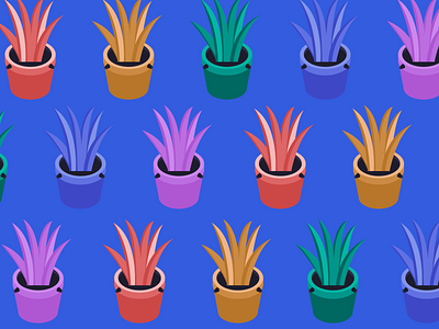 Colorful potted plants illustration