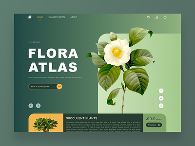 Plant Atlas sketch