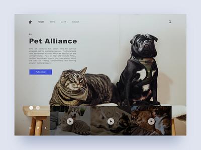 Pet Alliance