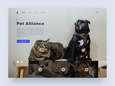 Pet Alliance sketch ui