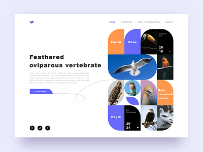 Feathered oviparous vertebrate sketch ui