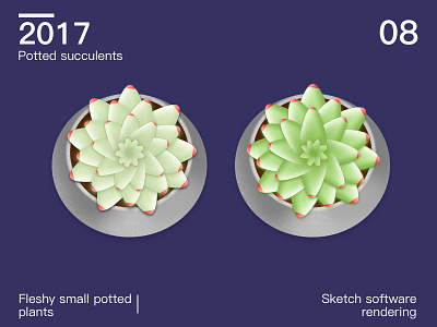 Potted succulents plotting sketch software