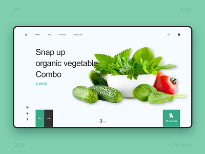 Vegetable shopping platform