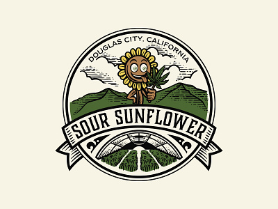 Sour Sunflower cannabis cannabis logo handdrawn hemp logo vintage vintagelogo