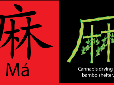 Ma Cannabis cannabis chinese infographic ma