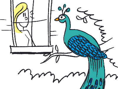 A Peacock Outside The Window cartoon comic illustration