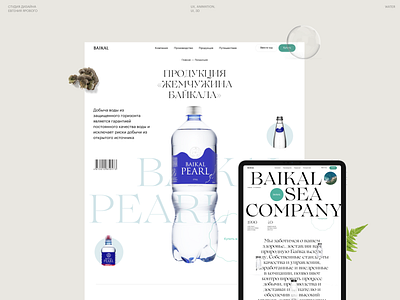Baikal Water 🌊 agency app behance brand branding design portfolio ui ux web