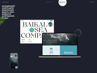 Baikal Sea 💧 agency app behance branding design portfolio typography ui ux web