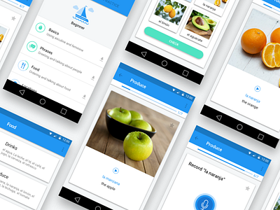 Language Learning App - Lesson