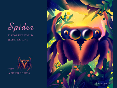 A set of illustrations about insects-Spider