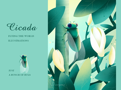 A set of illustrations about insects - Cicada