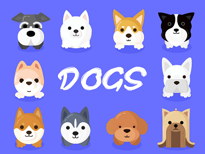 The dogs illustration