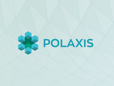 Polaxis branding design graphic logo wordmark