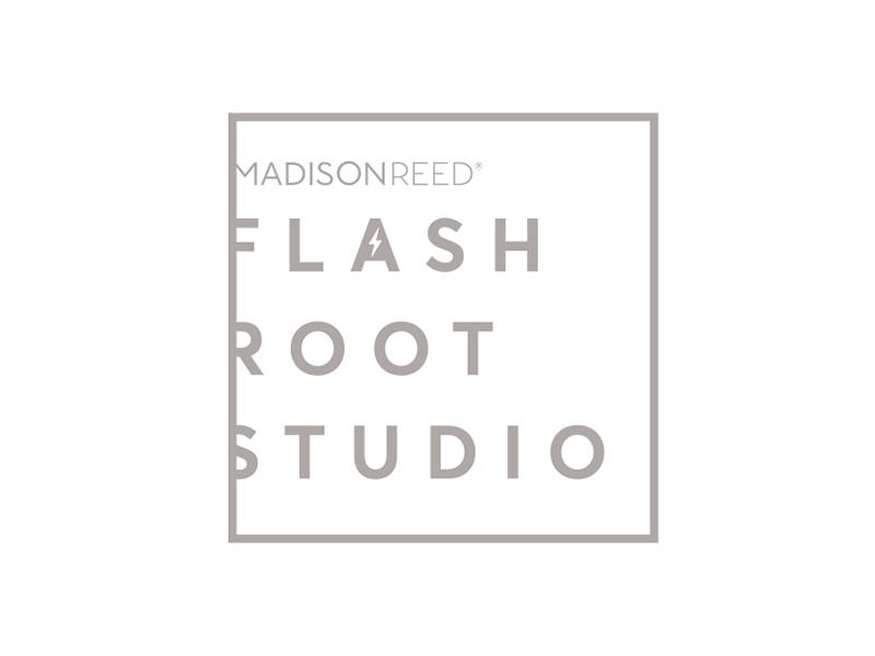 Flash Root Studio Logo icon typography logo