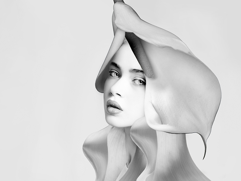 Hair Concept (3) composite design photography beauty hair