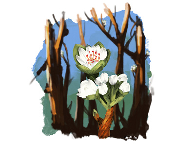 Pear Blossom bloom blossom bud digital flower illustration painting pear blossom