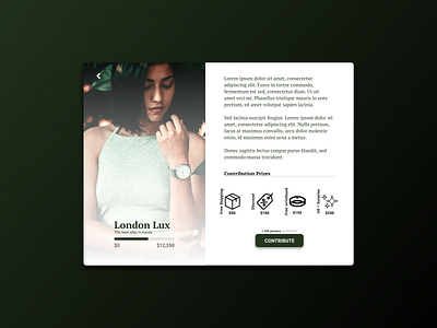 Crowdfunding - DailyUI 032