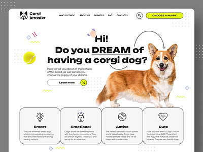 Corgi breeder Concept 2022 branding design breeder clean concept corgi cute design dog landing memphis ui ux web