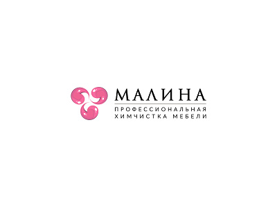 Professional dry cleaning Malina branding cleaning company design dry cleaning illustration logo