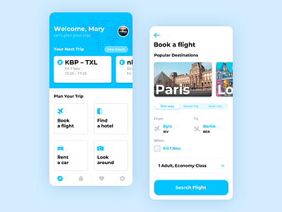 Booking Plane Tickets app concept