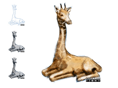 Digital Illustration - Giraffe