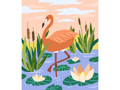 Flamingo animal character color digital flamingo illustartor illustration nature sketch