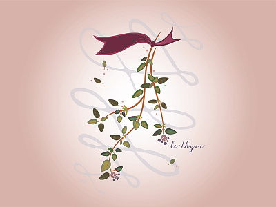 French Cards: Le Thym handlettering herb illustration paula hanna poppyseed thyme