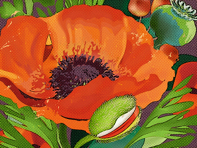 Poppy Halftone flower illustration paula hanna poppy poppyseed red