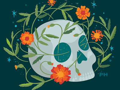 Marigold Skull calavera day of the dead dia de los muertos dia de muertos illustration marigold paula hanna poppyseed skull stars sugar skull vector