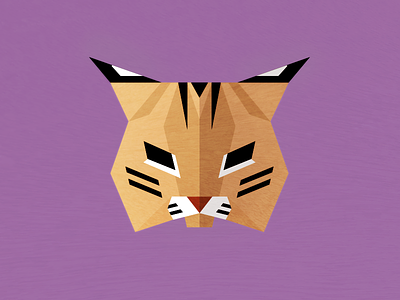 Bobcat animal illustration vector