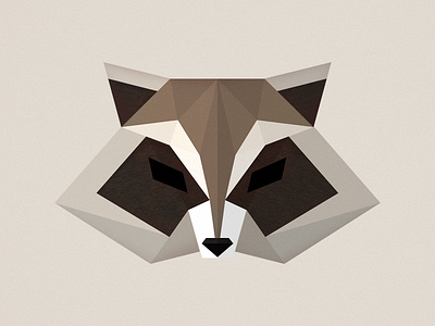 Raccoon animal outdoors raccoon vector wildlife