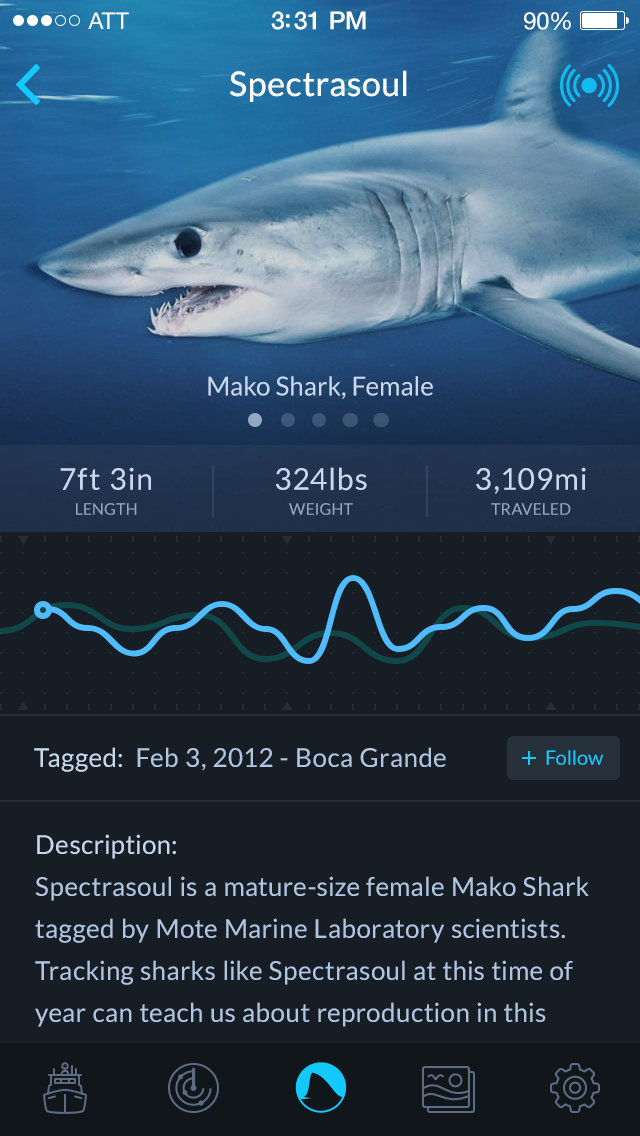 Shark Tracker App by Nick Botner on Dribbble
