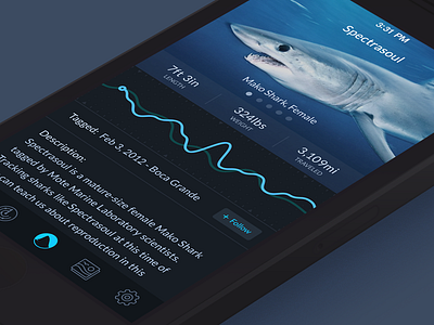 Angry Shark Attack Game designs, themes, templates and downloadable graphic  elements on Dribbble