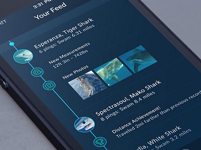 Shark Tracker - Feed app dashboard data feed ios shark tracking