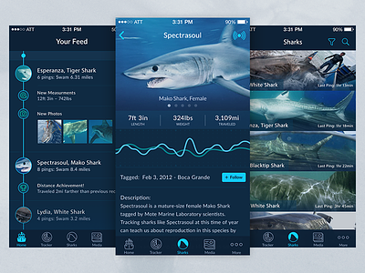 Shark Tracker - IOS App app dashboard data feed ios shark tracking