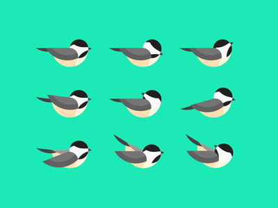 Geometric Chickadee Study