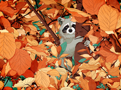 Autumn Racoon