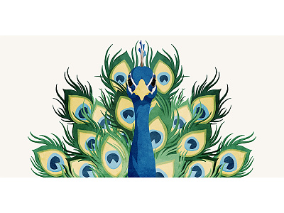 Celestial Peacock-12 animals children book digital art drawing illustration story