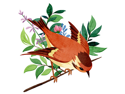 Bird3 animals birds digitalart drawing illustration