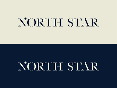 North Star Logo branding design logo luxury modern modern logo north north star serif serif font star typ type logo typography