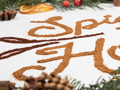 ICS Holiday Card cinnamon food type food typography holiday card holidays lettering merry christmas mulling spices pine trees spice typography