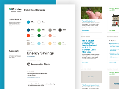 BC Hydro Digital Brand Standards brand cards colors design digital kit layout standards styleguide styles typography ui