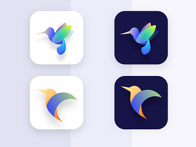 Icon exploration | humming bird