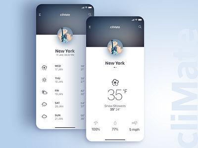 cliMate app daily ui weather