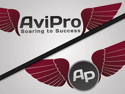 AviPro: Aviation Program