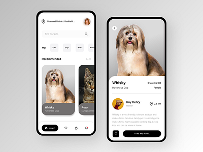 PET UI by uditi on Dribbble