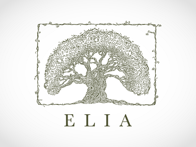 Elia illustration lines traditional